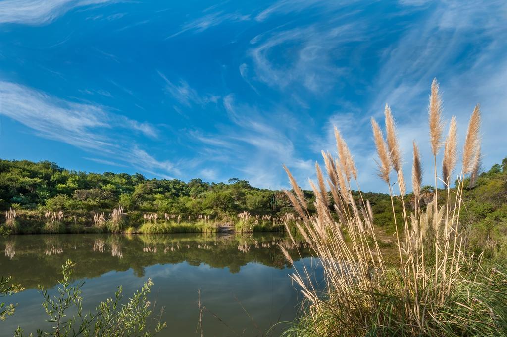 El 44 Reserva Natural De Tiempo Libre Villa Капила дел Монте Екстериор снимка